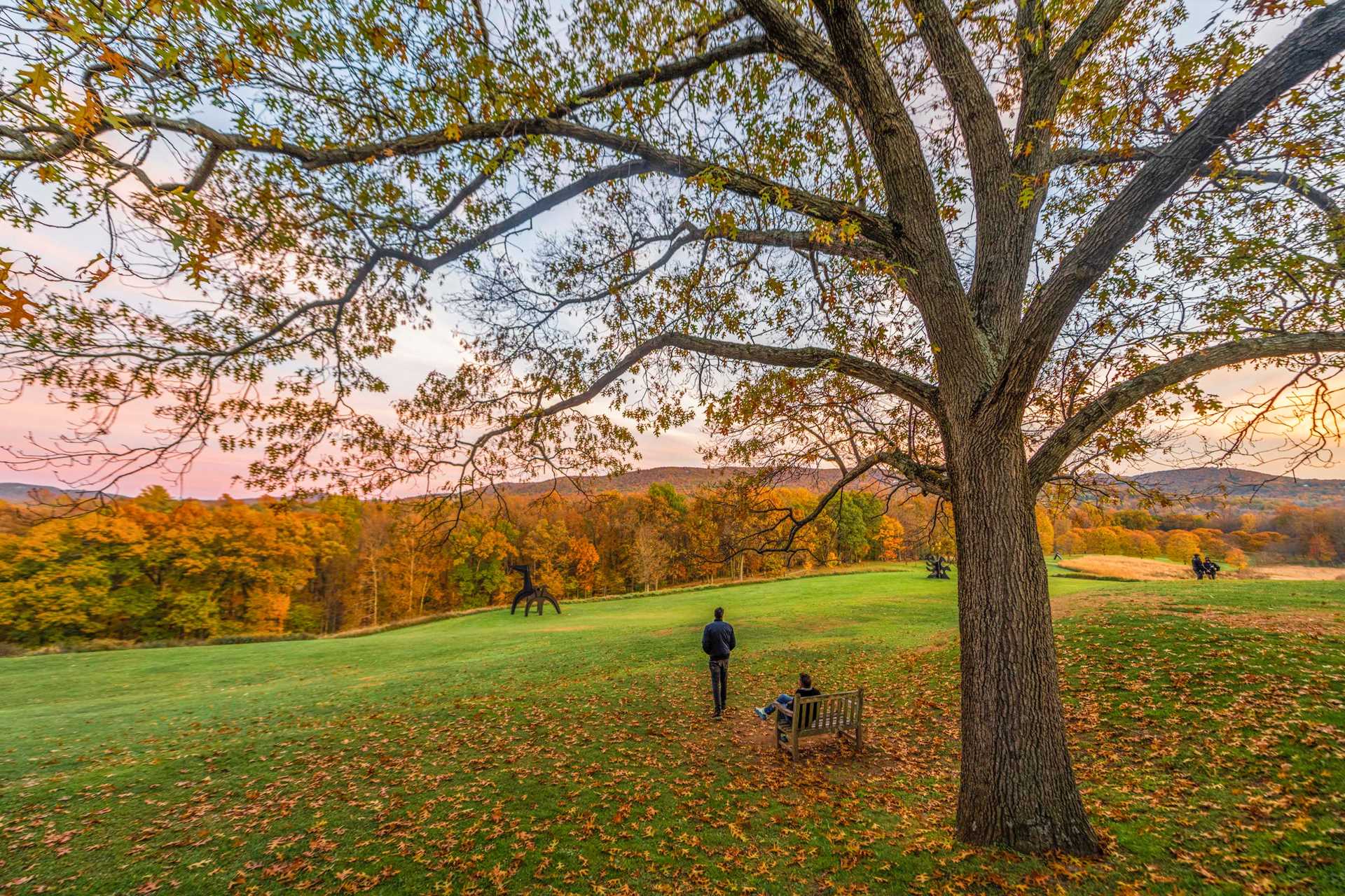 Storm King-775_1.jpg