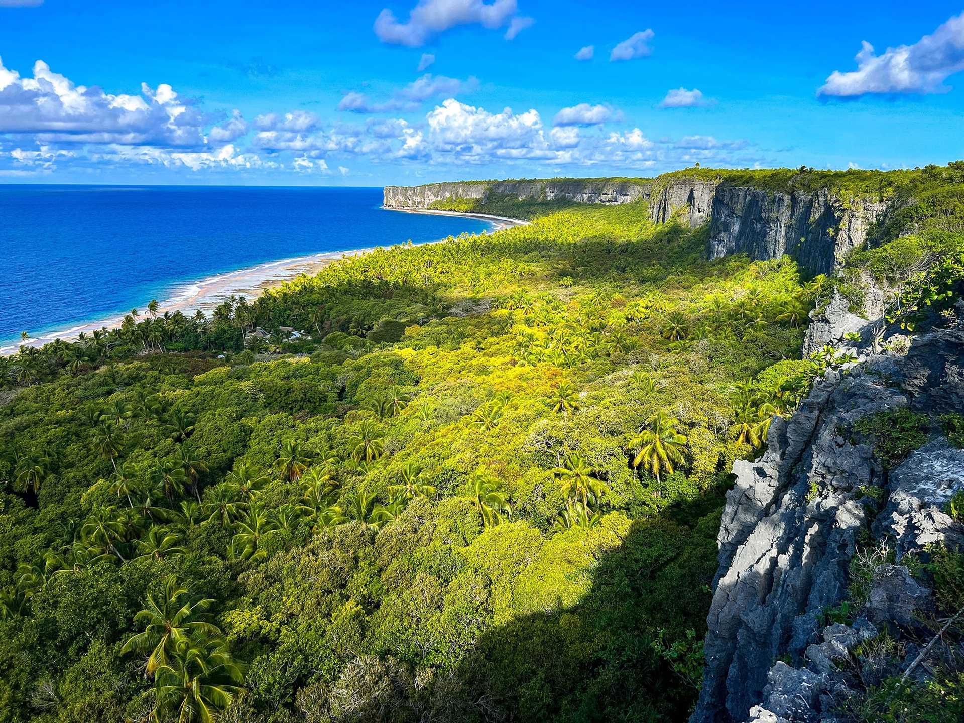 aerial shot of Makatea's jungle